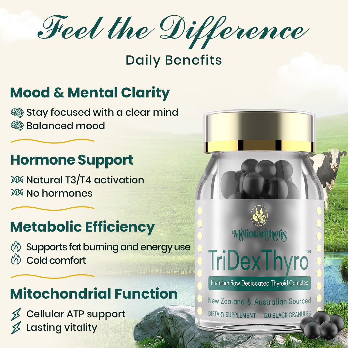 Meliorantheris boîte de complément thyroïdien 375 mg 180 capsules