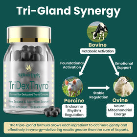 Meliorantheris complément thyroïdien 375 mg, arrière de la boîte