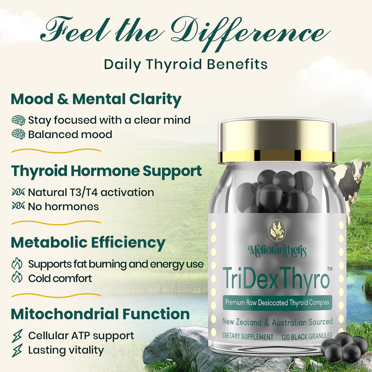 Meliorantheris complément thyroïdien 375 mg, gélule à côté d'un verre d'eau