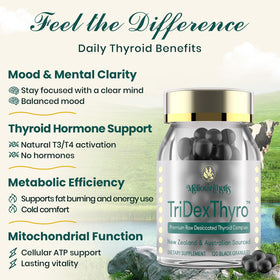 Meliorantheris complément thyroïdien 375 mg, gélule à côté d'un verre d'eau