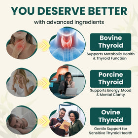 Meliorantheris complément thyroïdien 375 mg, gélules en gros plan