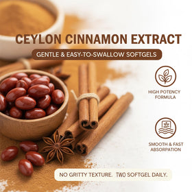 Menjint gélules d'extrait de cannelle de Ceylan avec étiquette