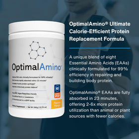 Mesure de 13 g de poudre d'acides aminés OptimalAmino sur une cuillère.