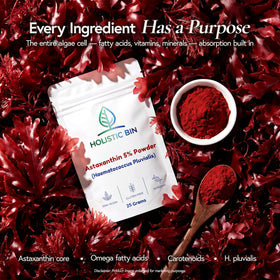 Mesure de poudre d'Astaxanthine Holistic Bin