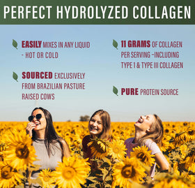 Mesure de poudre de collagène hydrolysé Perfect Supplements