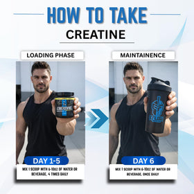 Mesure de poudre de créatine monohydrate eFlow Nutrition