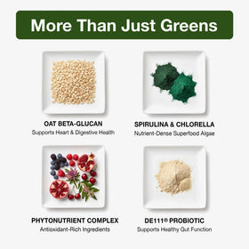 Mesure de poudre NanoGreens + Probiotic Greens prête à être mélangée