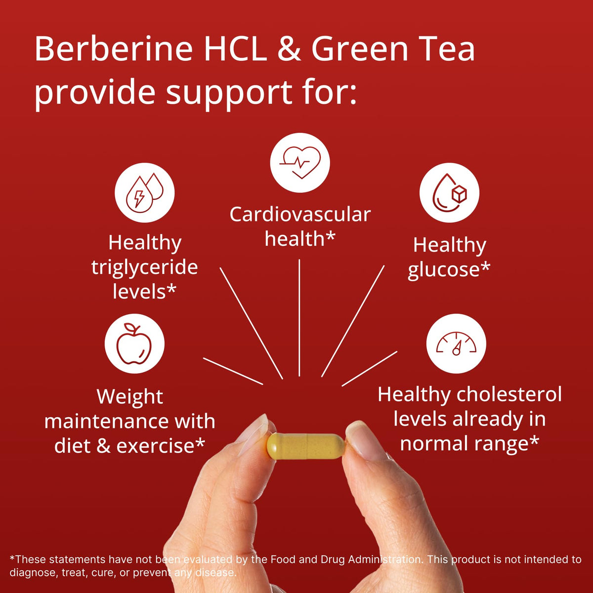 Metagenics Berberine GT 500 mg extrait de thé vert décaféiné