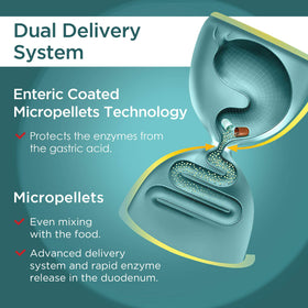 Micrazym Complément Alimentaire - Détails des micropellets