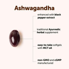 Micro Ingredients Ashwagandha gélules MCT avec étiquette