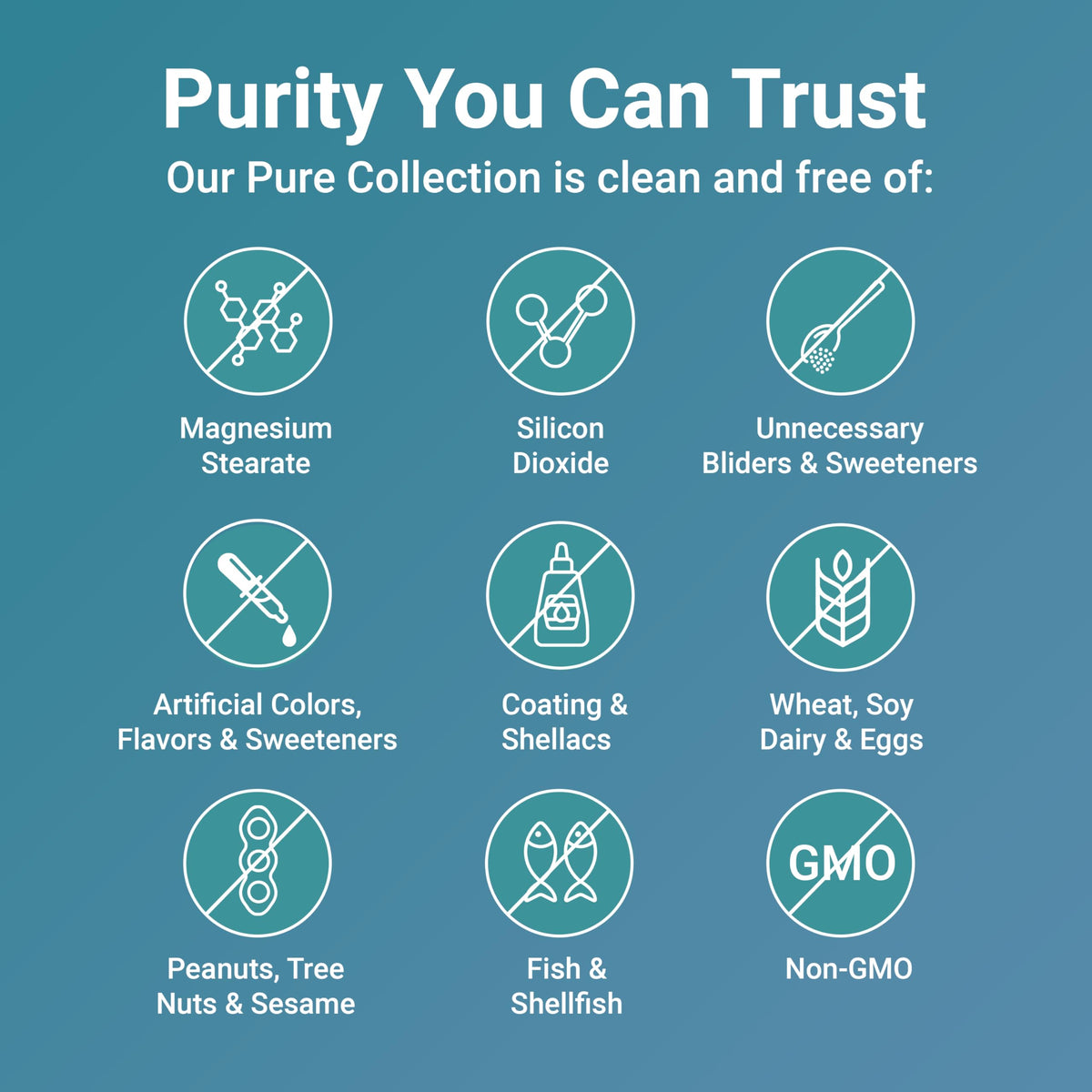 Micro Ingredients Complexe B Méthylé Pur 480 Capsules dans un environnement de santé