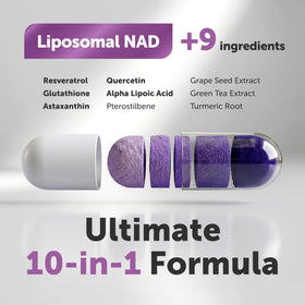 Micro Ingredients Complexe Liposomal NAD+ 1000 mg sur fond neutre