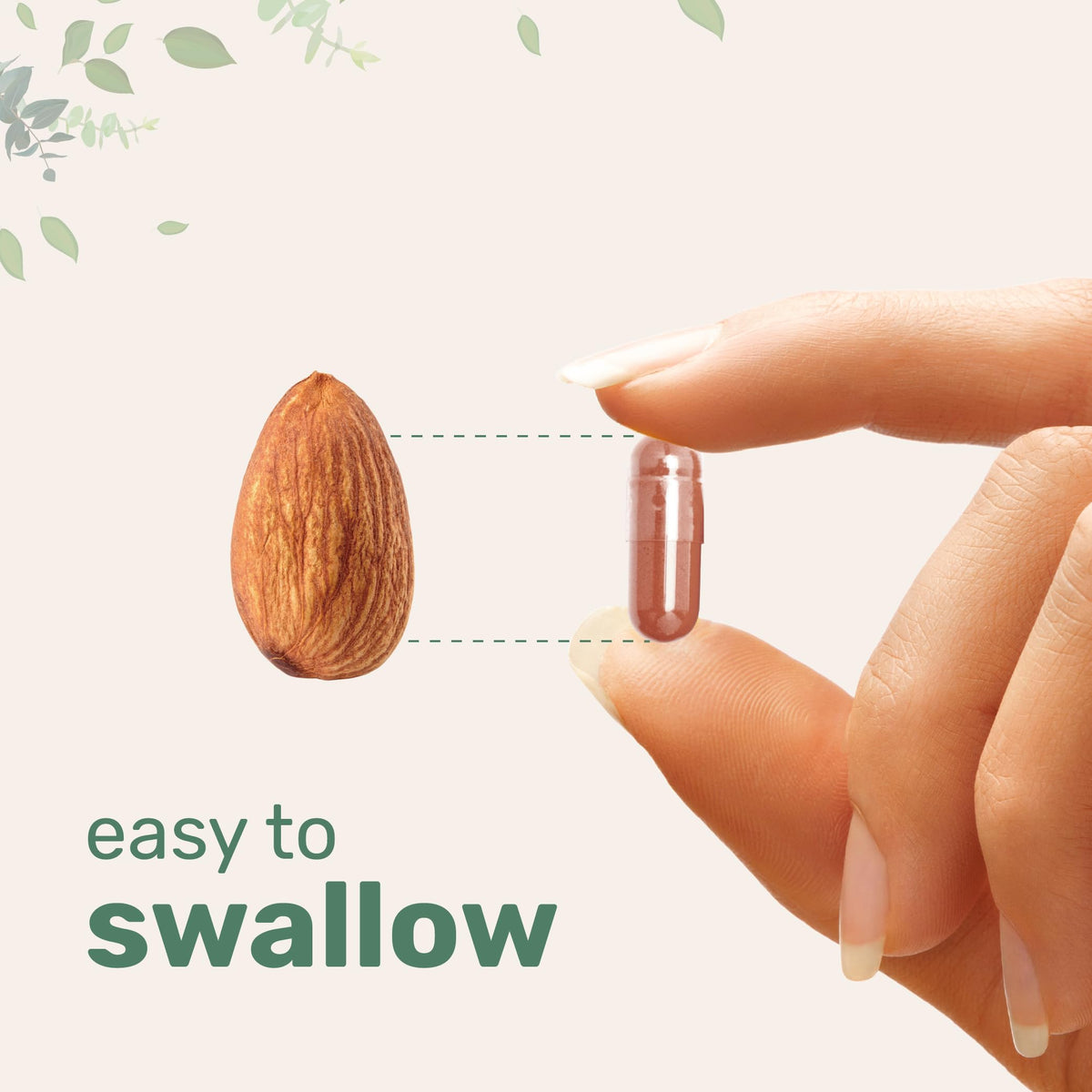 Micro Ingredients Extrait de Thé Vert capsules en gros plan