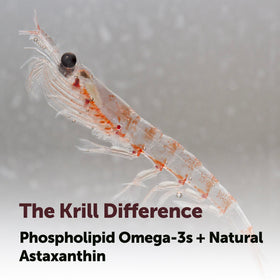 Micro Ingredients Huile de Krill Antarctica 1000 mg gélule ouverte