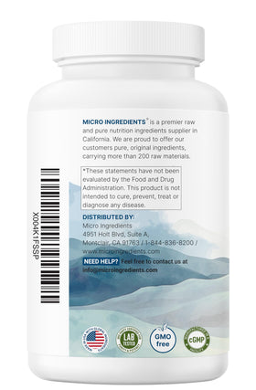 Micro Ingredients L-Lysine 2000mg, présentation du produit sur un fond neutre