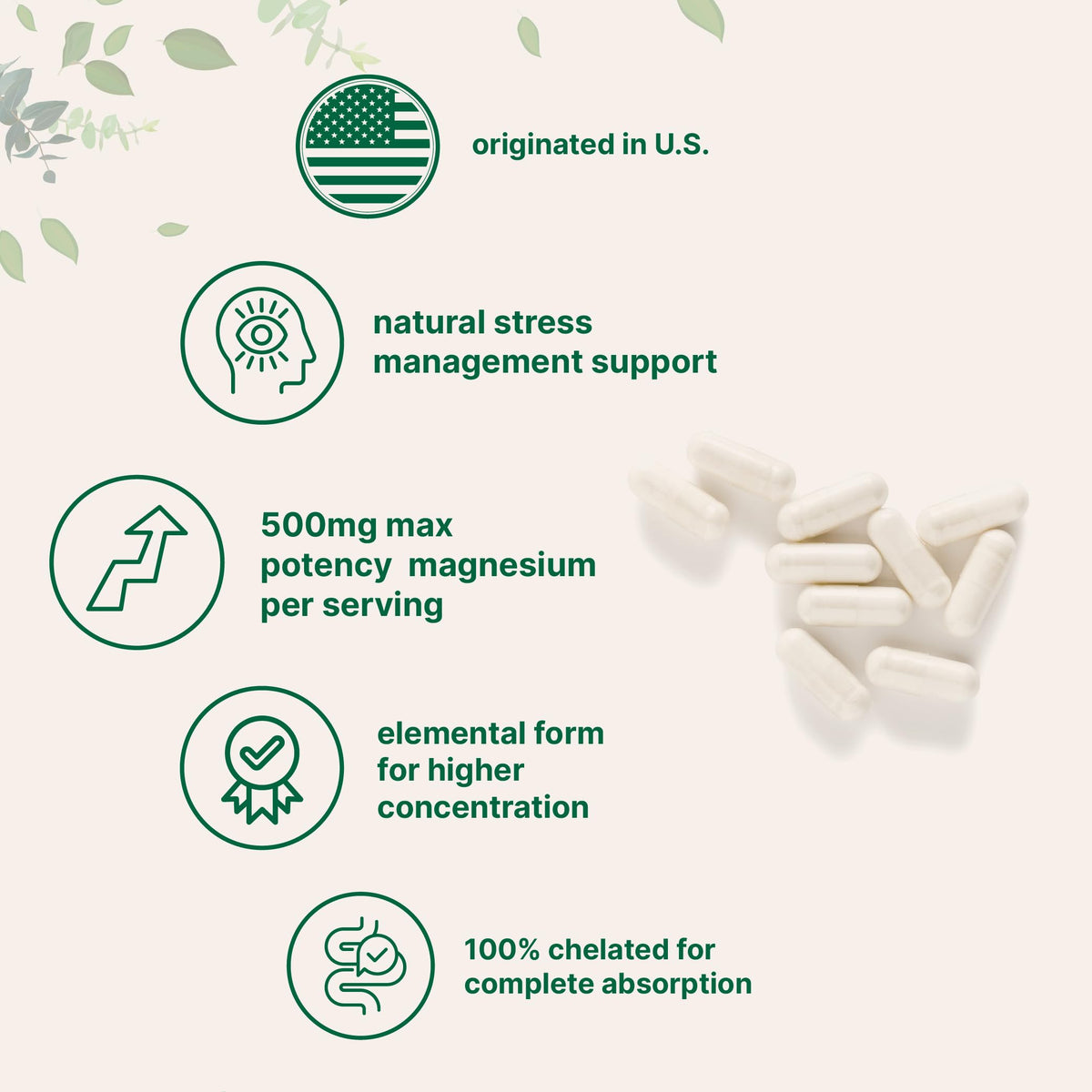 Micro Ingredients Magnésium Glycinate 500mg capsules sur une table