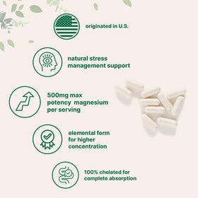 Micro Ingredients Magnésium Glycinate 500mg capsules sur une table