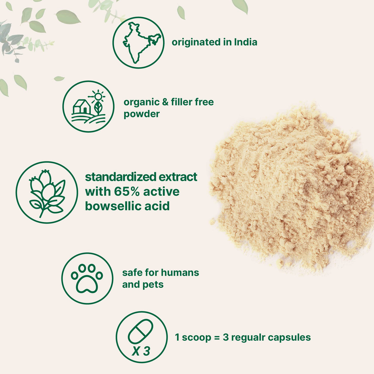 Micro Ingredients Poudre d'Extrait de Boswellia Serrata 240g emballage
