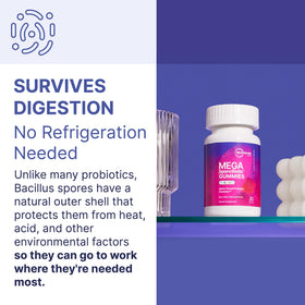Microbiome Labs MegaSporeBiotic Kids gélifiés, vue arrière de l'emballage
