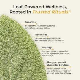 Miel de mullein TRUSTED RITUALS sur un fond blanc