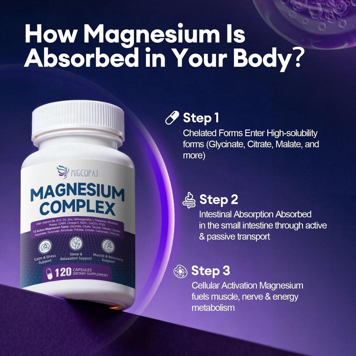 Migcopat Complex de Magnésium 120 capsules vue arrière