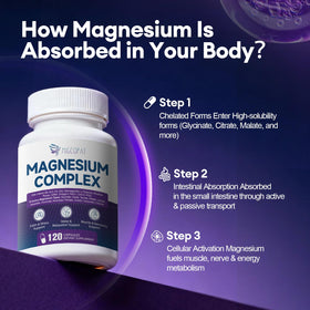 Migcopat Complex de Magnésium 120 capsules vue arrière