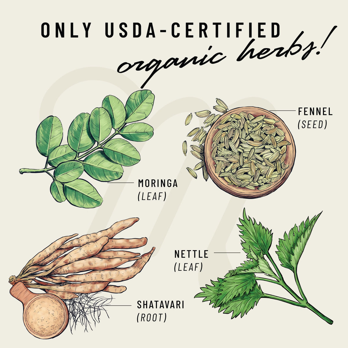 Milkapalooza de Legendairy Milk, vue de côté de la boîte