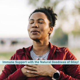 minature Comprimés de Giloy 90 Tablettes 1000 mg - utilisation quotidienne