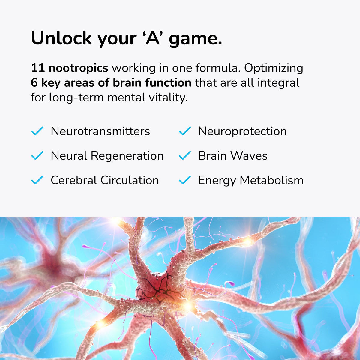 Mind Lab Pro capsules sur une surface blanche