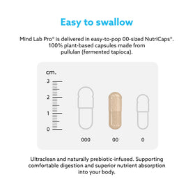 Mind Lab Pro complément alimentaire avec des éléments de style de vie actif