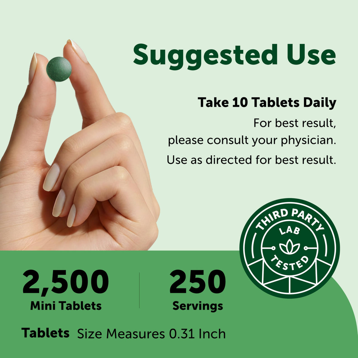 Mini-tablettes de Spiruline et Chlorella dans une cuillère
