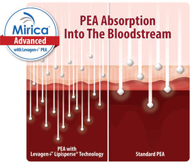 Mirica Advanced 60 capsules, mise en scène avec des plantes