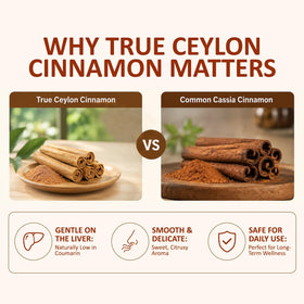Mise en scène de gélules de cannelle de Ceylan Kuerusor sur une table