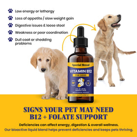 Mise en scène de la Vitamine B12 Liquide Special Breed avec un chien