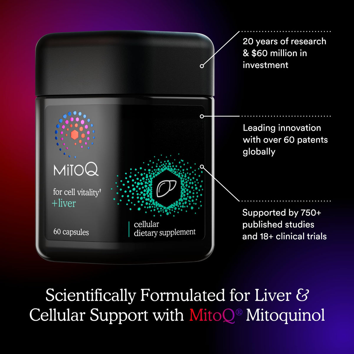 MitoQ +Liver complément pour le foie 60 capsules sur une table en bois