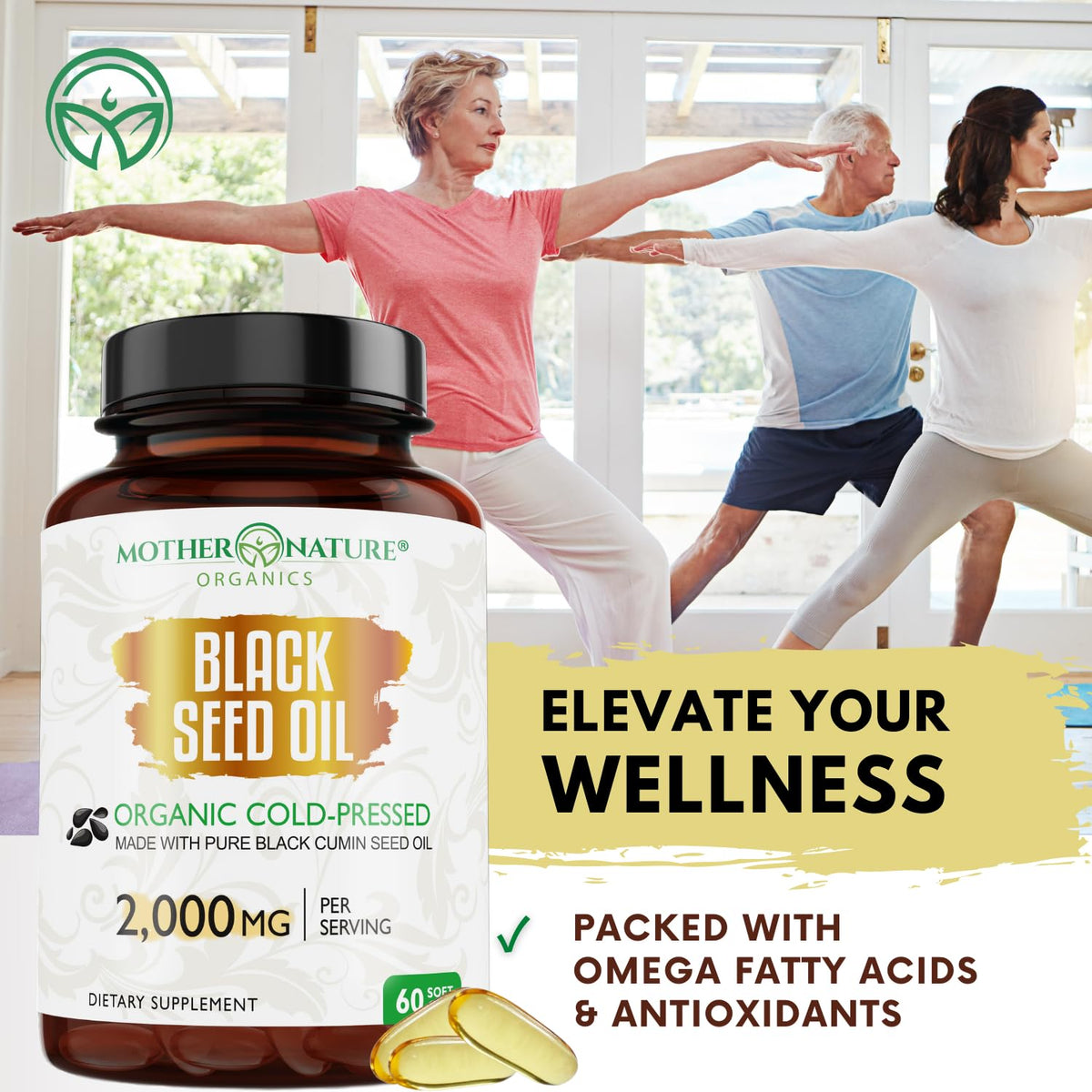 MNO capsules de graines noires dans la main