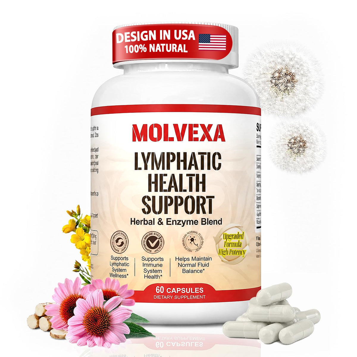 MOLVEXA Compléments Alimentaires Drainage Lymphatique Flacon de 60 Capsules