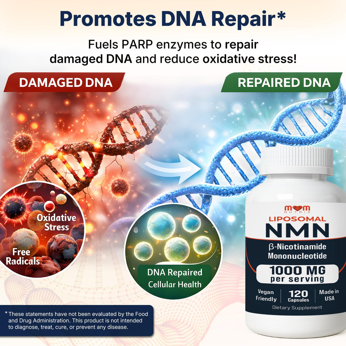 MOM NUTRIX Complément Alimentaire NMN 1000 mg en mode de vie actif