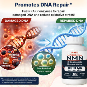 MOM NUTRIX Complément Alimentaire NMN 1000 mg en mode de vie actif