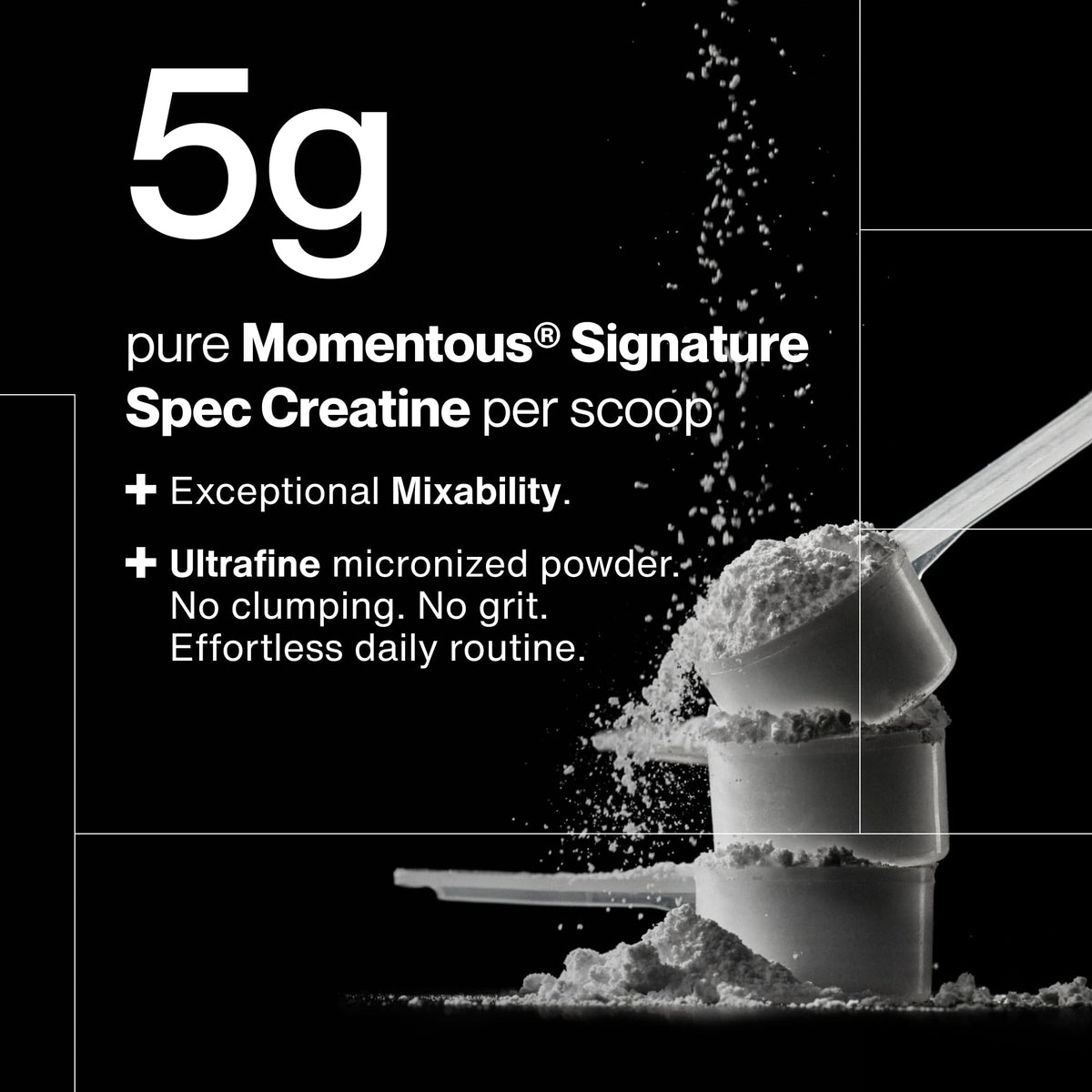 Momentous Poudre de Créatine Monohydrate 540g en poudre