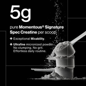 Momentous Poudre de Créatine Monohydrate 540g en poudre