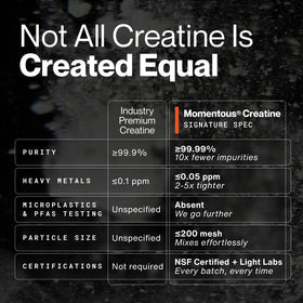 Momentous Poudre de Créatine Monohydrate 540g vue de côté