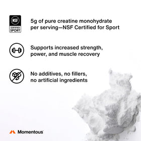 Momentous Poudre de Créatine Monohydrate 5g, vue arrière
