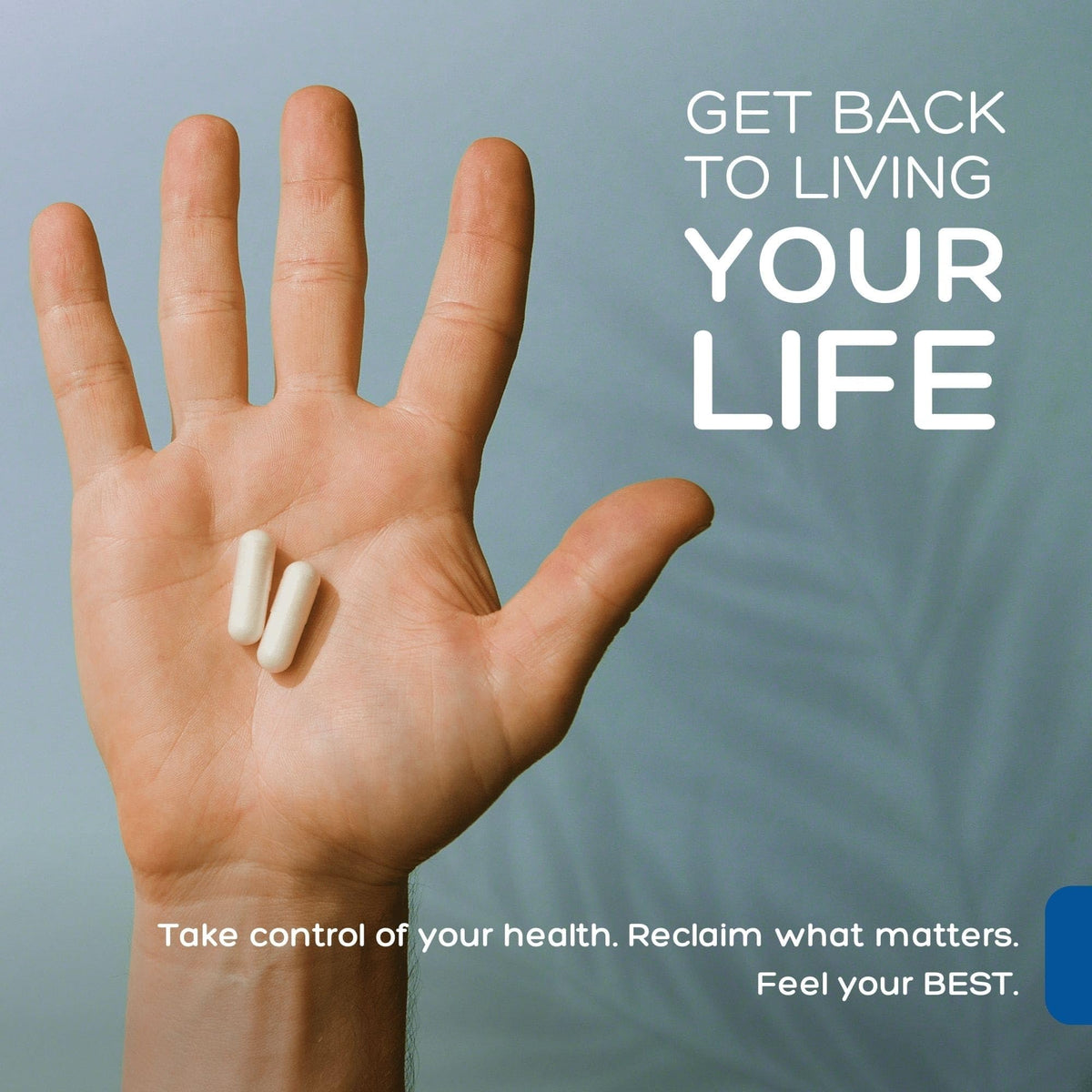 Monolaurin 800mg Natural Labs capsules ouvertes