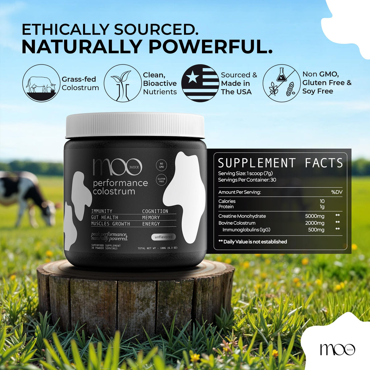 Moo Juice Poudre de Colostrum 2000mg et Créatine 5000mg en utilisation dans une routine sportive