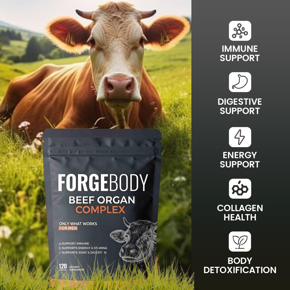 MORANDEE Foie de Boeuf 120 capsules avec une main