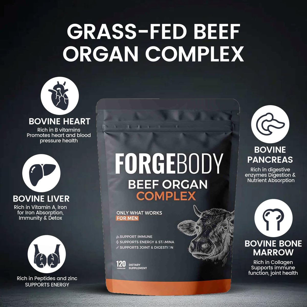 MORANDEE Foie de Boeuf capsules sur un fond neutre