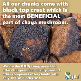 Morceaux de Chaga Sayan 481g sur une table