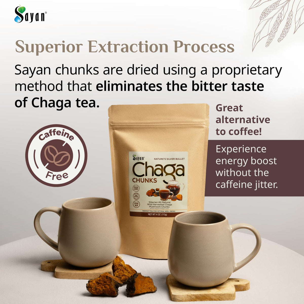 Morceaux de Chaga Sayan avec des feuilles vertes