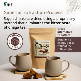 Morceaux de Chaga Sayan avec des feuilles vertes